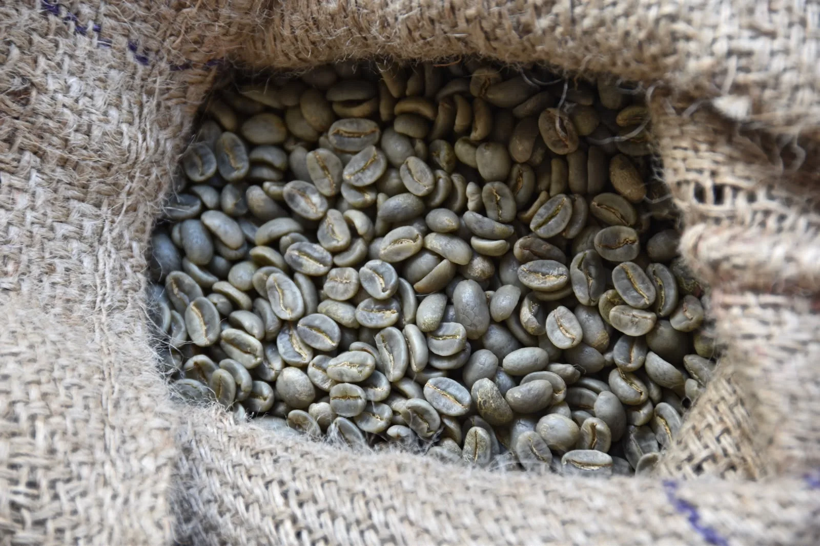Café verde sin tostar Altura 1100, Cosautlán de Carvajal, Veracruz