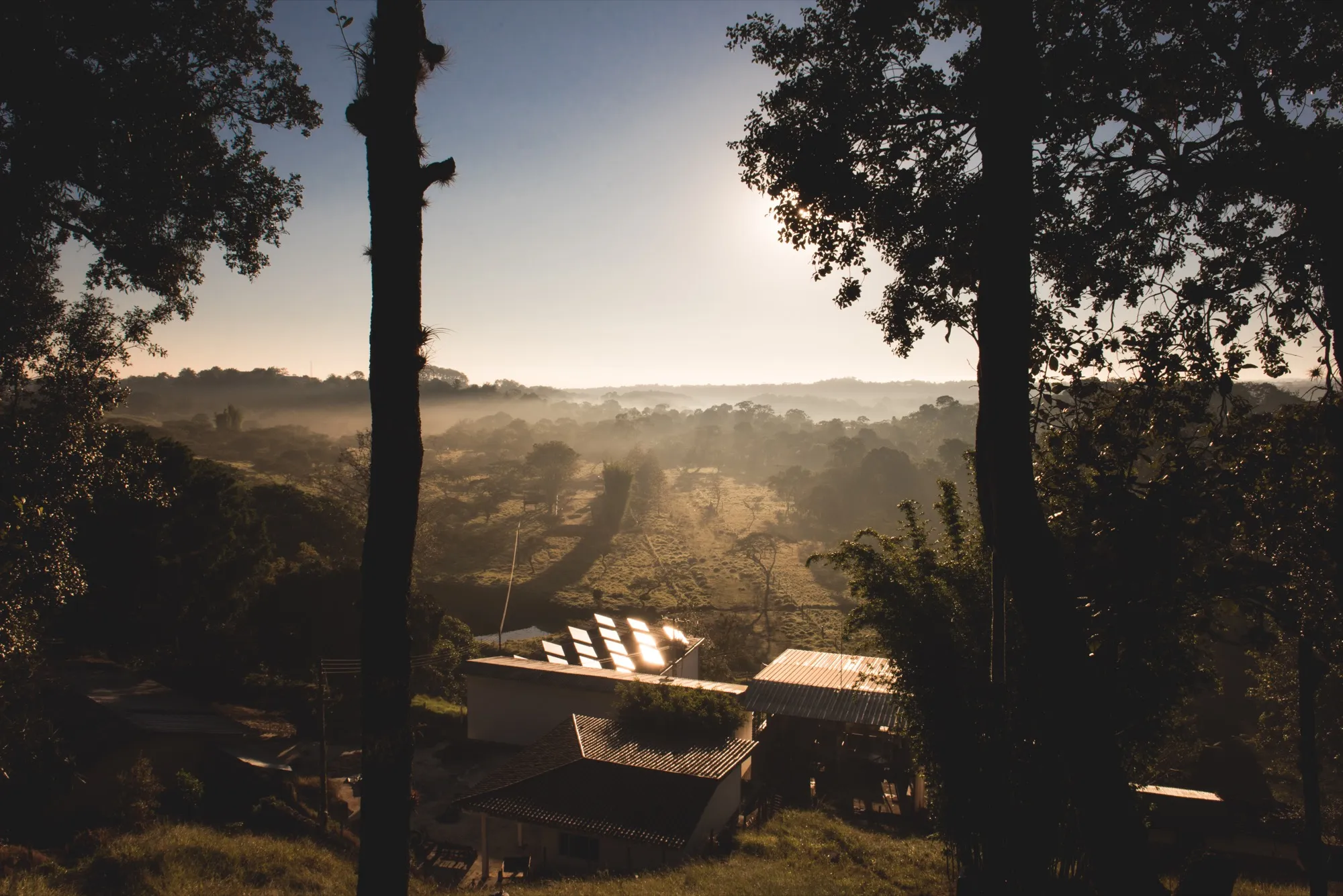 Terroir de Cosautlán de Carvajal — montañas boscosas con niebla matutina al amanecer