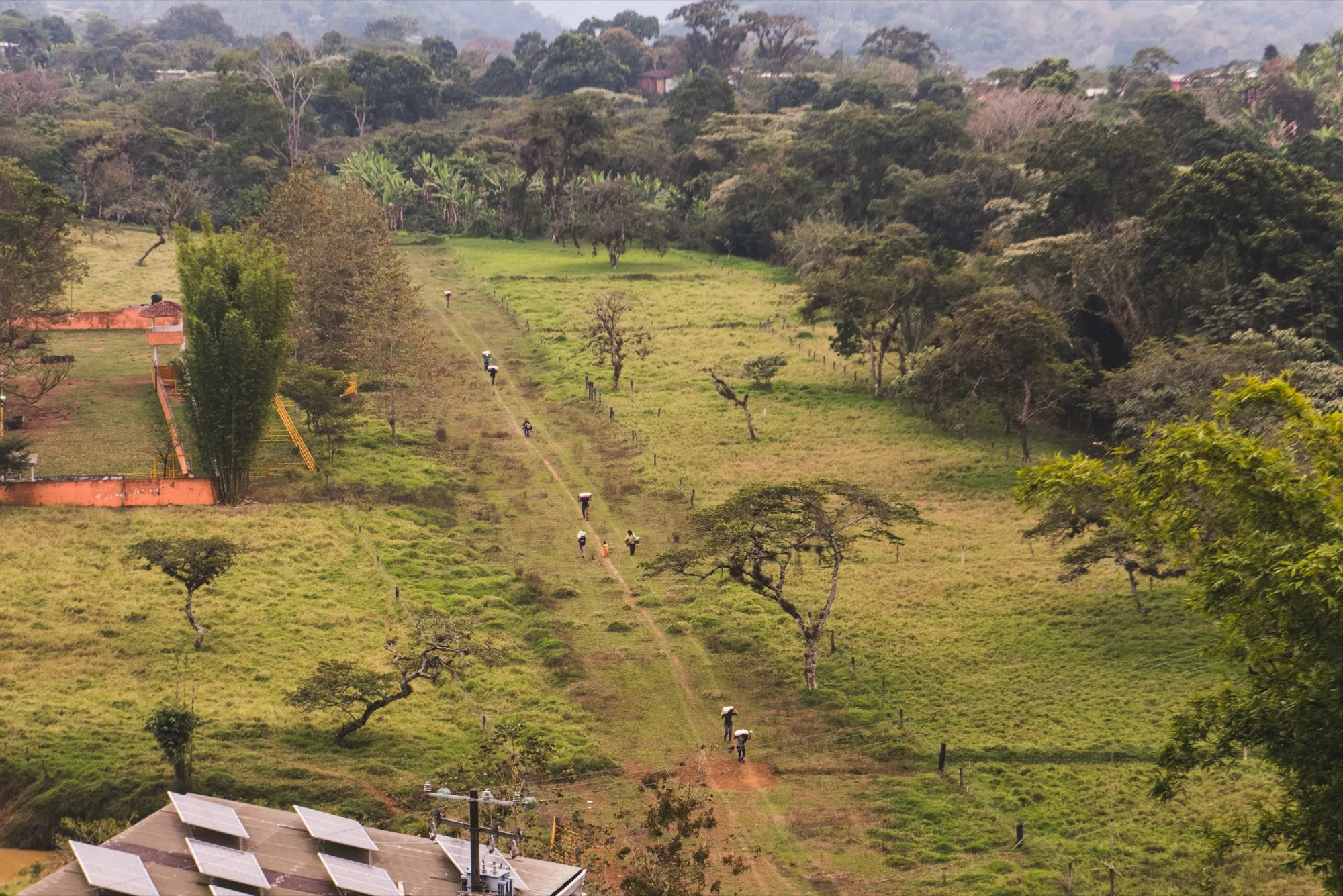 Paisaje de la finca cafetalera en las montañas de Cosautlán de Carvajal